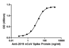 Product Element Image